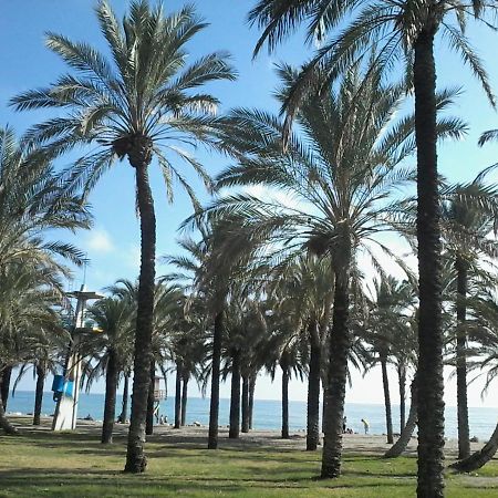 Estudio Costa Del Sol - Τορρεμολίνος Εξωτερικό φωτογραφία